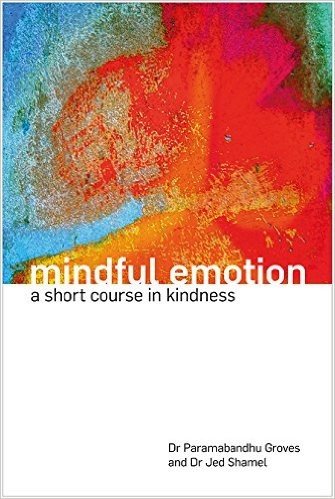 Mindful Emotion: A Short Course in Kindness