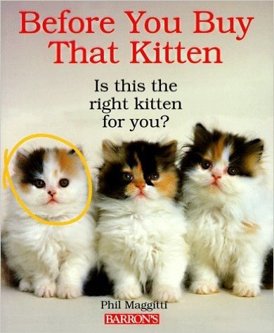 Before You Buy That Kitten