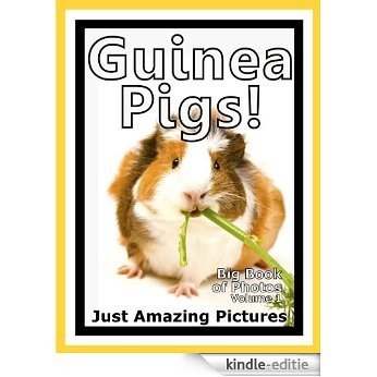 Just Guinea Pig Photos! Big Book of Photographs & Pictures of Guinea Pigs, Vol. 1 (English Edition) [Kindle-editie]