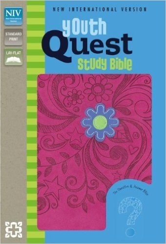 Youth Quest Study Bible-NIV