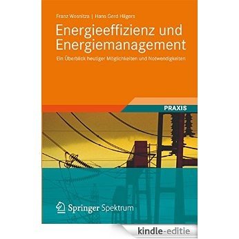 Energieeffizienz und Energiemanagement: Ein Überblick heutiger Möglichkeiten und Notwendigkeiten [Print Replica] [Kindle-editie]
