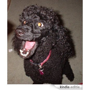The continuing Adventures of Spirit the not so pedigree poodle. 'The Night Walk' (Tha Adventures of Spirit Book 5) (English Edition) [Kindle-editie]
