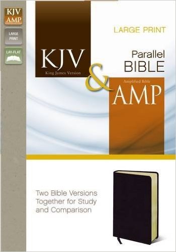 Side-By-Side Bible-PR-KJ/Am-Large Print baixar