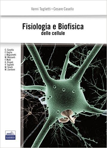 Fisica Biomedica Scannicchio Pdf Download