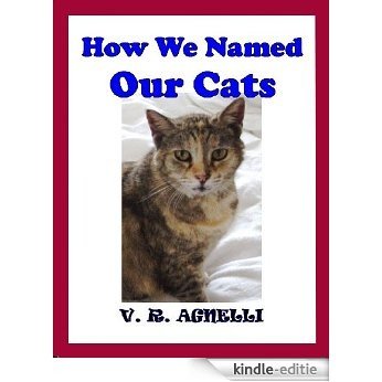 How We Named Our Cats (English Edition) [Kindle-editie]