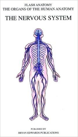 Flash Anatomy Organs of the Human Anatomy: The Nervous System Chart