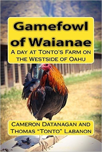 Gamefowl of Waianae: A Day at Tonto's Farm on the Westside of Oahu