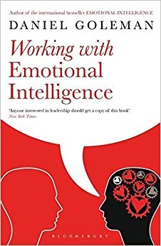 indir Working with Emotional Intelligence