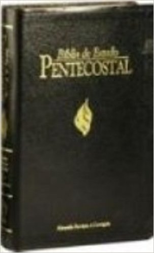 Biblia De Estudo Pentecostal Media - Preta