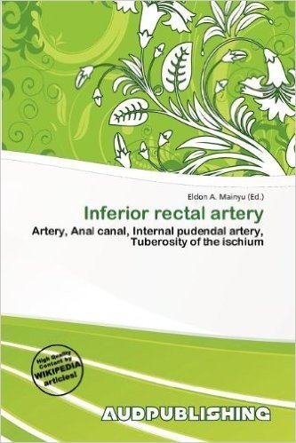 Inferior Rectal Artery