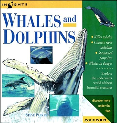 Whales and Dolphins (Insights Series)