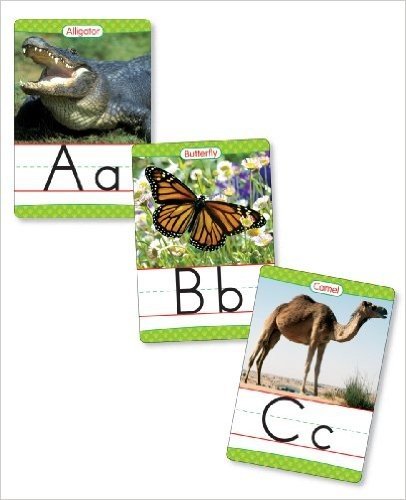 Animals from A to Z Alphabet Set: Manuscript: 26 Ready-To-Display Letter Cards with Fabulous Photos of Animals