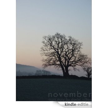 November (English Edition) [Kindle-editie]