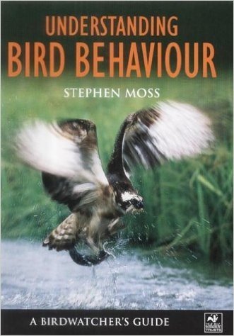Understanding Bird Behaviour: A Birdwatcher's Guide