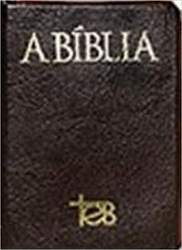Bíblia Teb