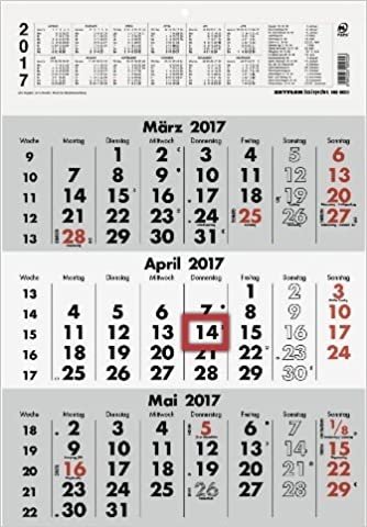 Dreimonatskalender 2021 29,7x44cm 955-0011
