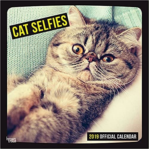 Cat Selfies 2019 Square Wall Calendar