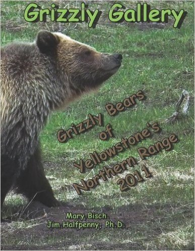 Grizzly Gallery