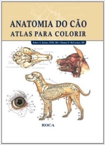 Anatomia Do Cão Atlas Para Colorir