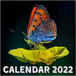 indir Calendar 2022: Butterflies September 2021 - December 2022 Monthly Planner Mini Calendar With Inspirational Quotes