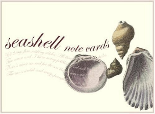 Seashell Small Note Cards