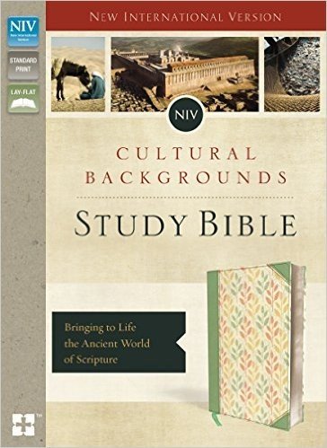 NIV, Cultural Backgrounds Study Bible, Imitation Leather, Indexed: Bringing to Life the Ancient World of Scripture baixar