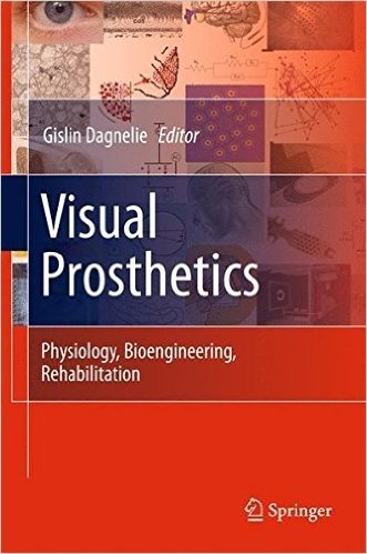 Visual Prosthetics: Physiology, Bioengineering, Rehabilitation