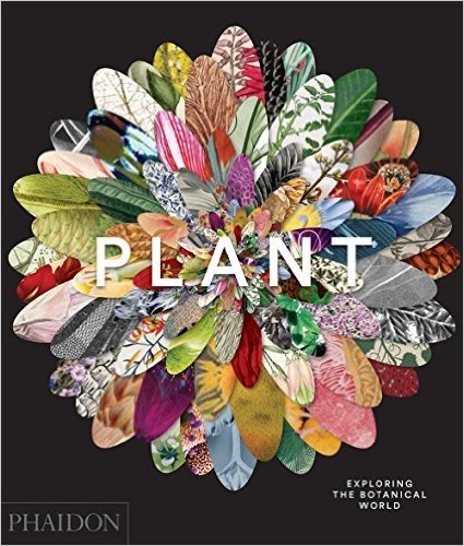 Télécharger Plant: exploring the botanical world