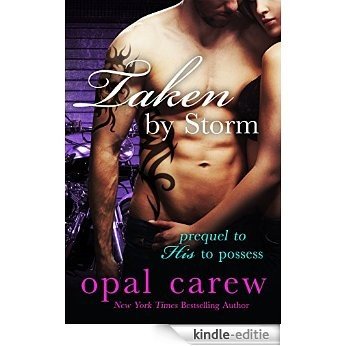 Taken By Storm (English Edition) [Kindle-editie]
