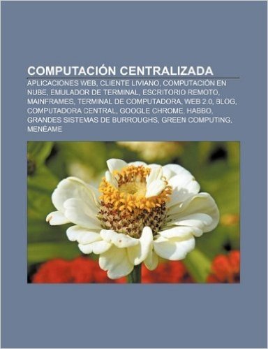 Computacion Centralizada: Aplicaciones Web, Cliente Liviano, Computacion En Nube, Emulador de Terminal, Escritorio Remoto, Mainframes