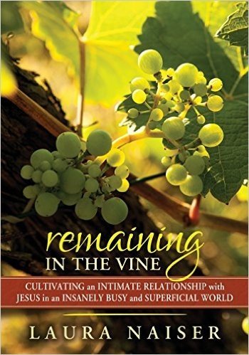Remaining in the Vine: Cultivating an Intimate Relationship with Jesus in an Insanely Busy and Superficial World