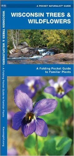 Wisconsin Trees & Wildflowers: An Introduction to Familiar Species
