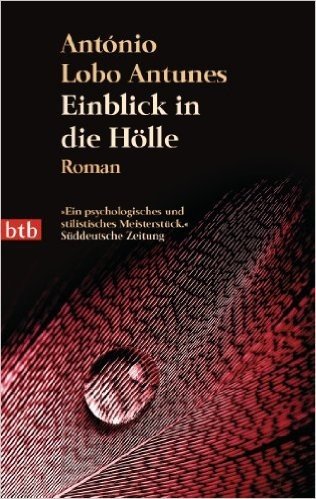 Einblick in die Hölle: Roman (German Edition)