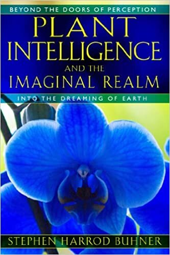 Plant Intelligence And The Imaginal Realm: Beyond the Doors of Perception into the Dreaming of Earth