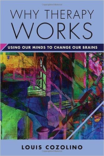 Why Therapy Works: Using Our Minds to Change Our Brains baixar