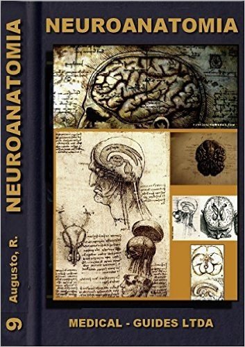 Neuroanatomia Básica: Morfofuncional do sistema nervoso (Guideline Médico)