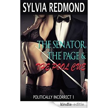 The Senator, The Page & The Pool Cue (Politically Incorrect Book 1) (English Edition) [Kindle-editie]