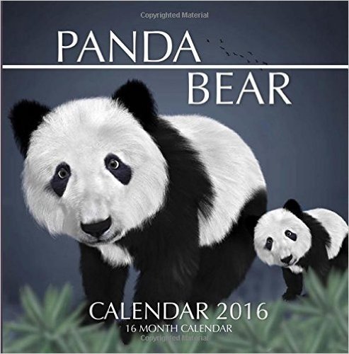 Panda Bear Calendar 2016: 16 Month Calendar