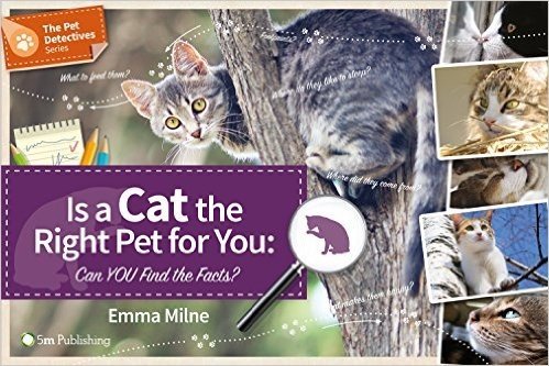 Is a Cat the Right Pet for You: Can You Find the Facts