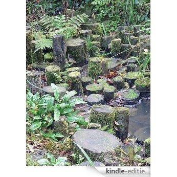 Stepping Stones To Writing (English Edition) [Kindle-editie]