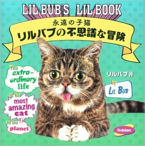 LIL BUB’S LIL BOOK