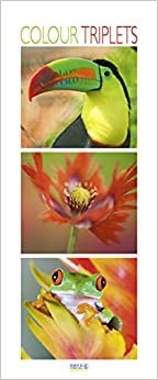 Colour Triplets 2021: Schmaler Wandkalender. Foto-Kunstkalender mit farblich abgestimmten Bildern. PhotoArt Vertikal. 28,5 x 69 cm. Edles Foliendeckblatt.