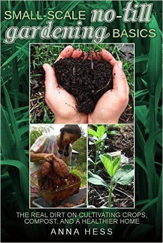 Small-Scale No-Till Gardening Basics: The Real Dirt on Cultivating Crops, Compost, and a Healthier Home (The Ultimate Guide to Soil Book 2) (English Edition) baixar