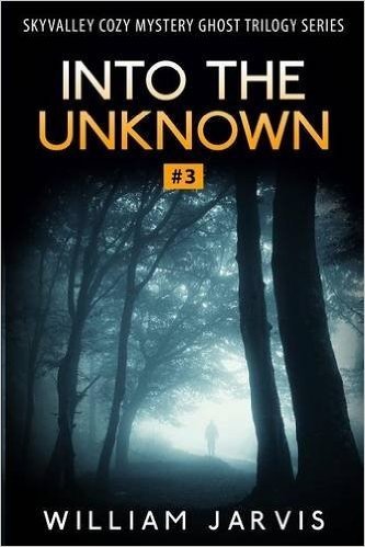Into the Unknown: Sky Valley Cozy Mystery Ghost Trilogy Series Book 3