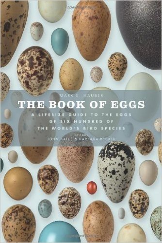 Book of eggs a life-size guide to the eggs of six hundred of the world's bird species /anglais