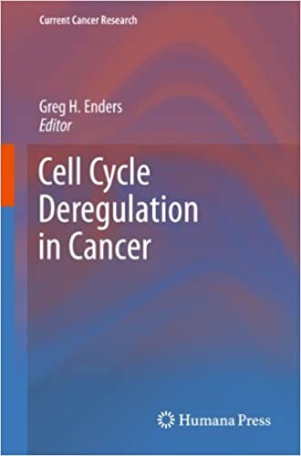 indir Cell Cycle Deregulation in Cancer (Current Cancer Research)