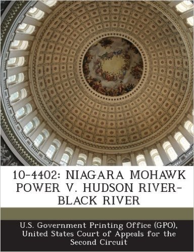10-4402: Niagara Mohawk Power V. Hudson River-Black River