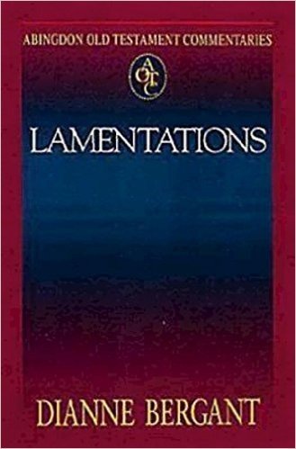 Abingdon Old Testament Commentaries: Lamentations baixar
