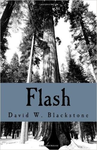 Flash: Collected Short Fiction