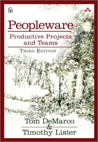 Peopleware: Productive Projects and Teams baixar